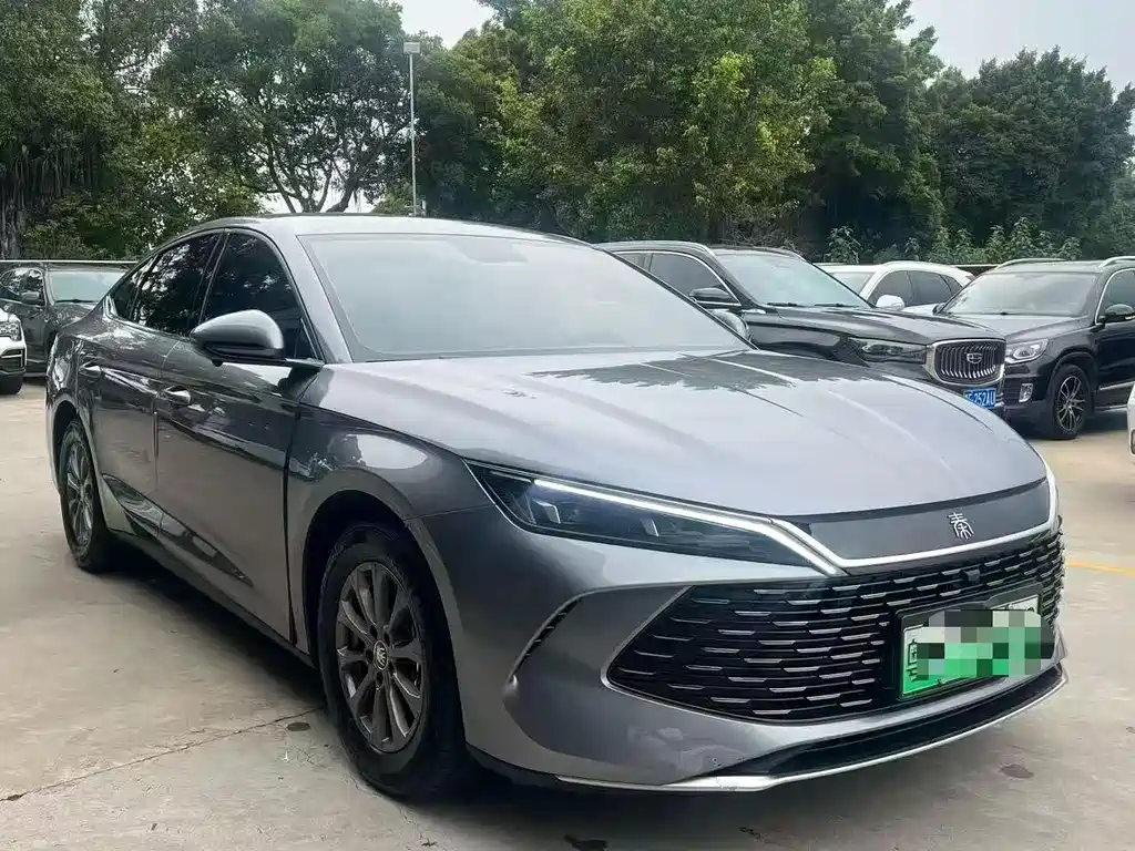 Qin L 2024 DM-i 80KM Leading Edition