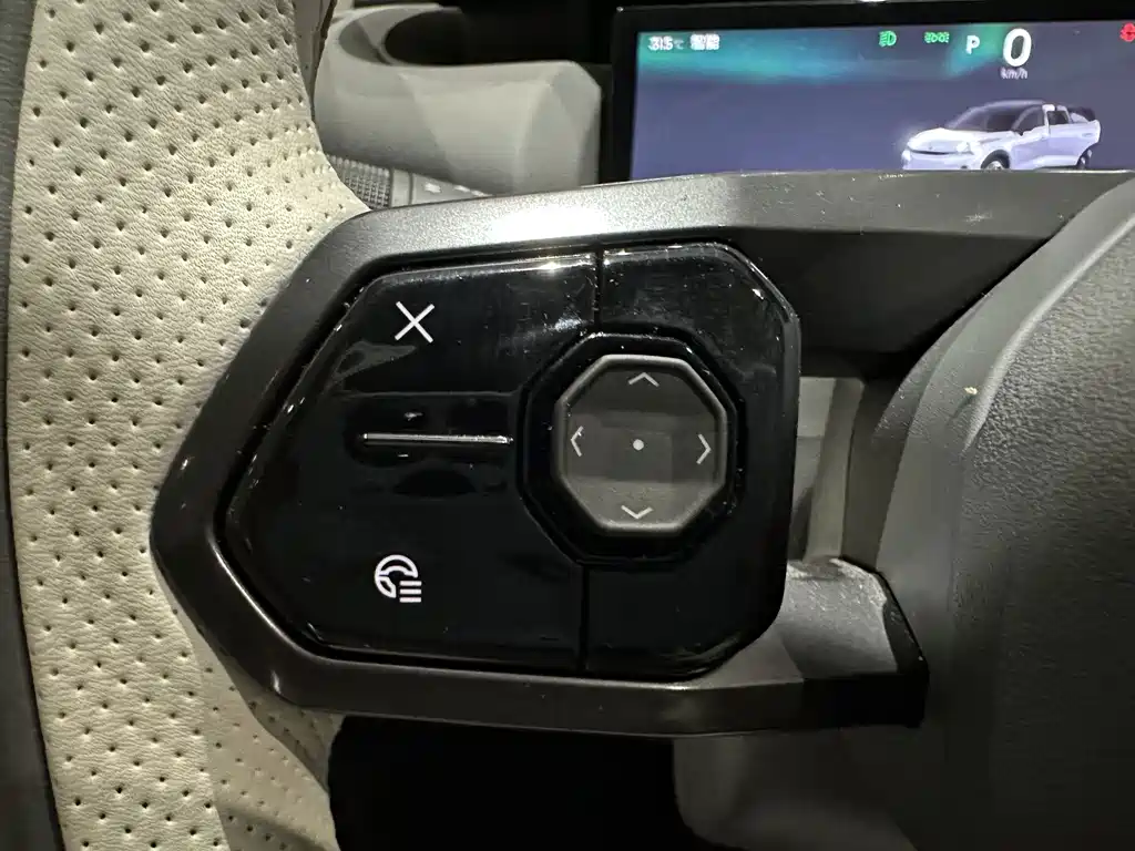 LEON 06 EM-P 2023 Standard Range Pro
