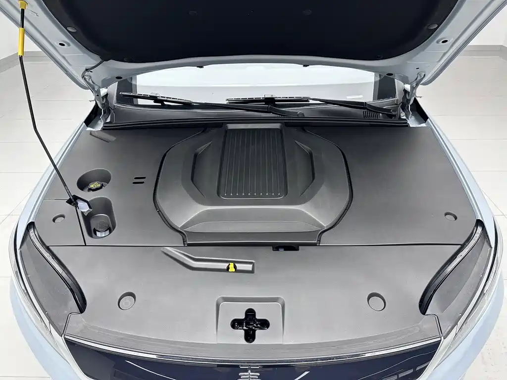 Qin Plus 2025 EV Intelligent Driving Edition 510KM Advance Model