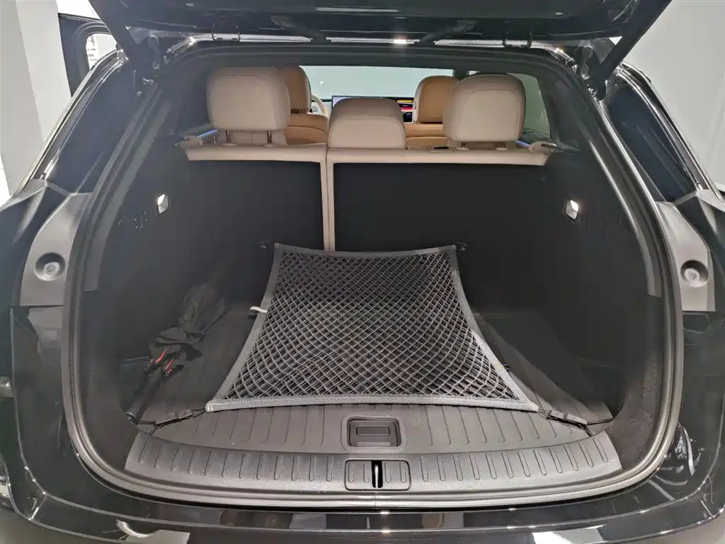 Lemon i6 2025 Model Two-wheel-drive Standard Edition