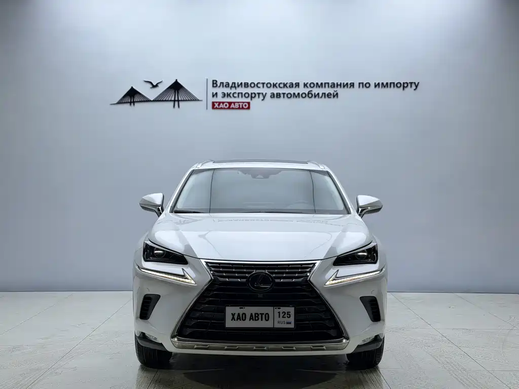Lexus NX 2020 200 All-Wheel Drive Fengshang Edition National V