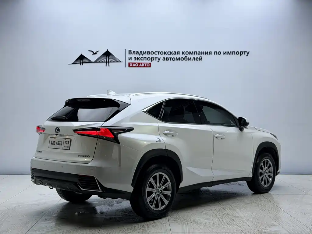 Lexus NX 2020 200 All-Wheel Drive Fengshang Edition National V