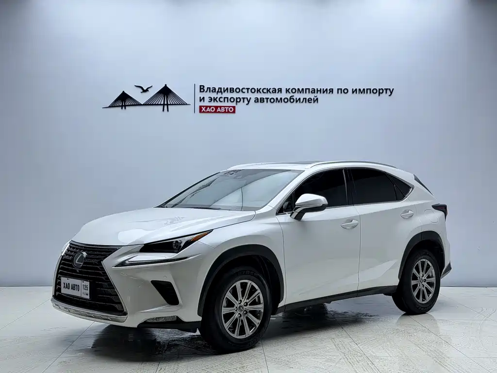 Lexus NX 2020 200 All-Wheel Drive Fengshang Edition National V