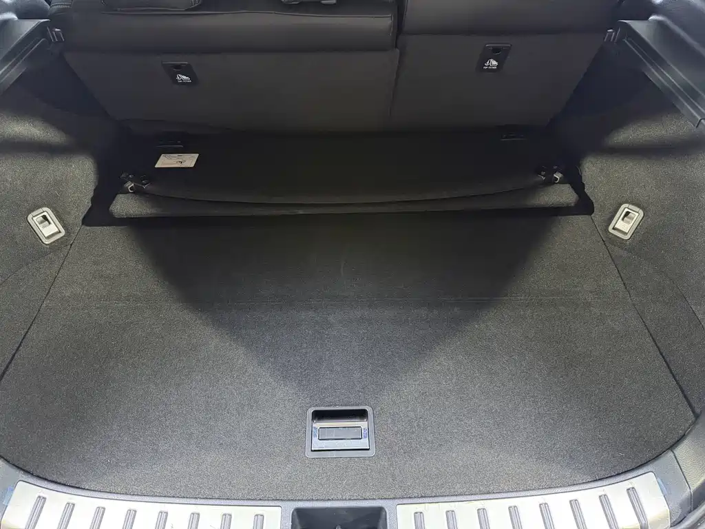 Lexus NX 2020 200 All-Wheel Drive Fengshang Edition National V