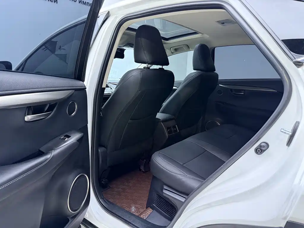 Lexus NX 2020 200 All-Wheel Drive Fengshang Edition National V