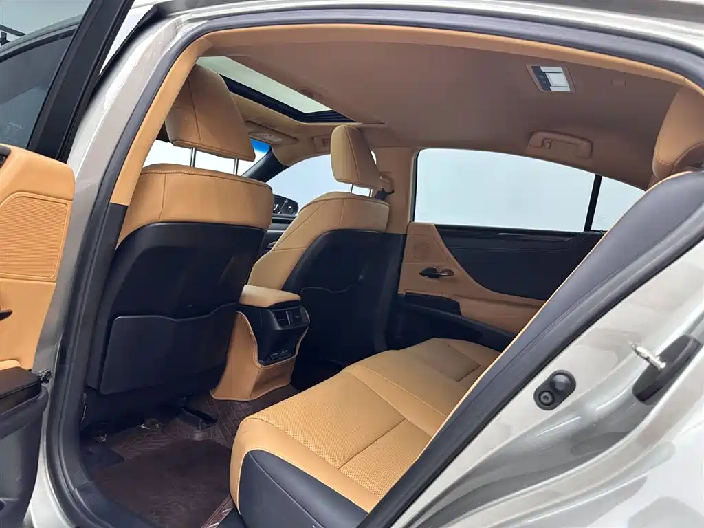 Lexus ES 2022 200 Excellence Edition