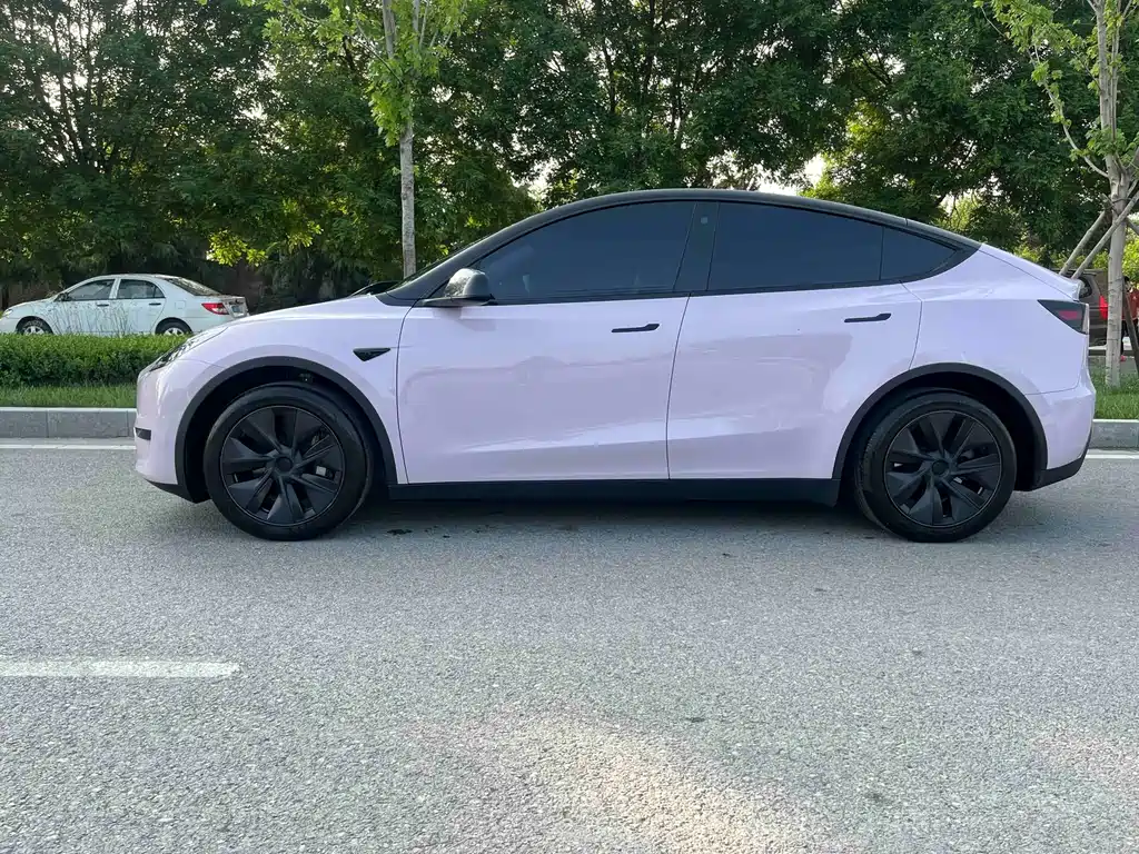Model Y 2023 Rear-Wheel Drive Edition