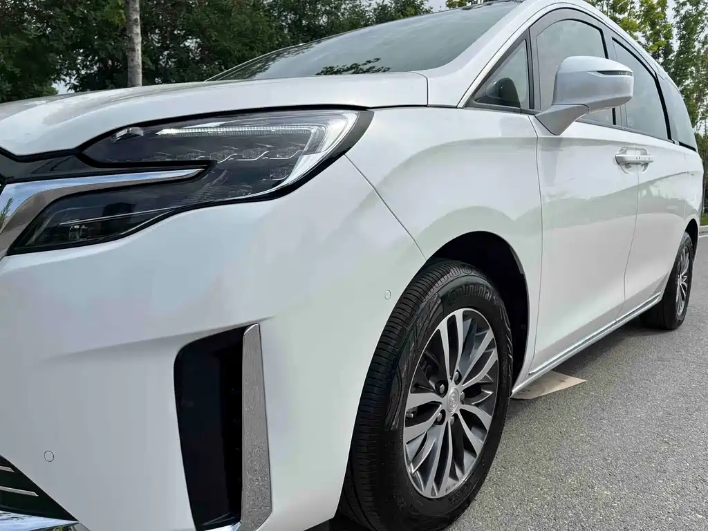 Buick GL8 2023 ES Luxury Edition