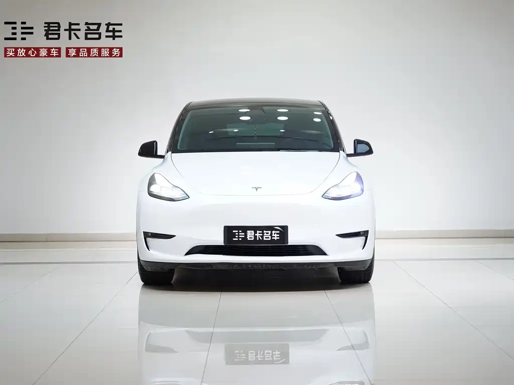 Model Y 2021 Standard Range Rear-Wheel Drive Edition