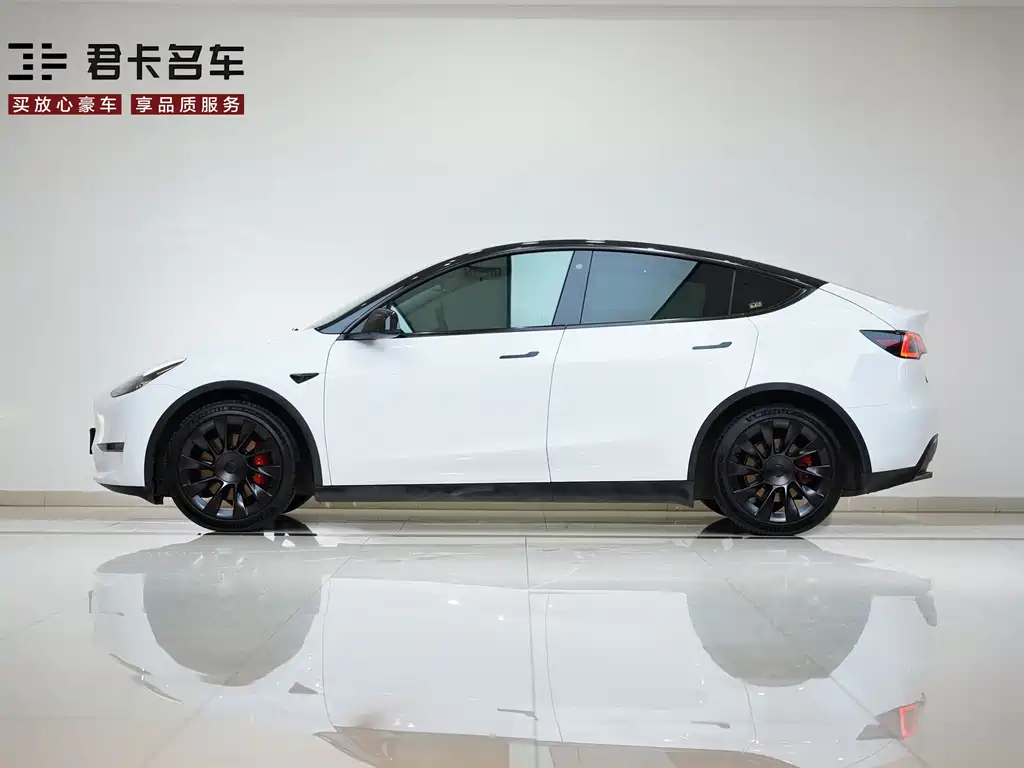 Model Y 2021 Standard Range Rear-Wheel Drive Edition