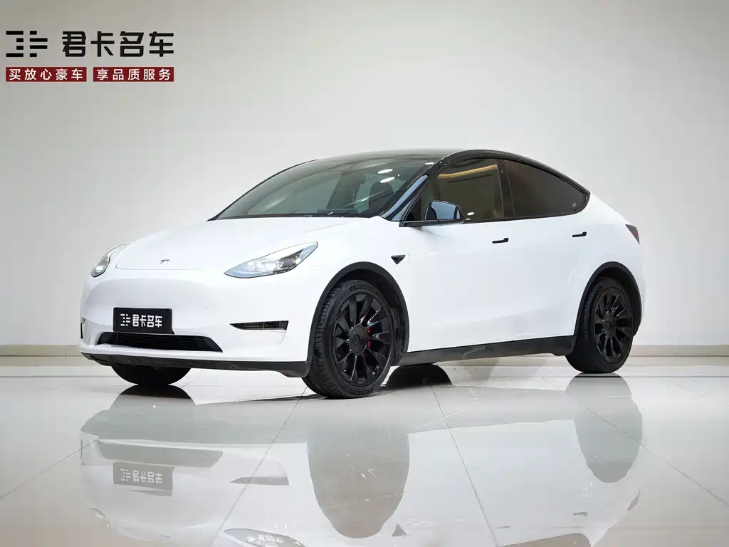 Model Y 2021 Standard Range Rear-Wheel Drive Edition