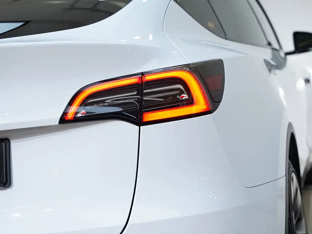Model Y 2021 Standard Range Rear-Wheel Drive Edition