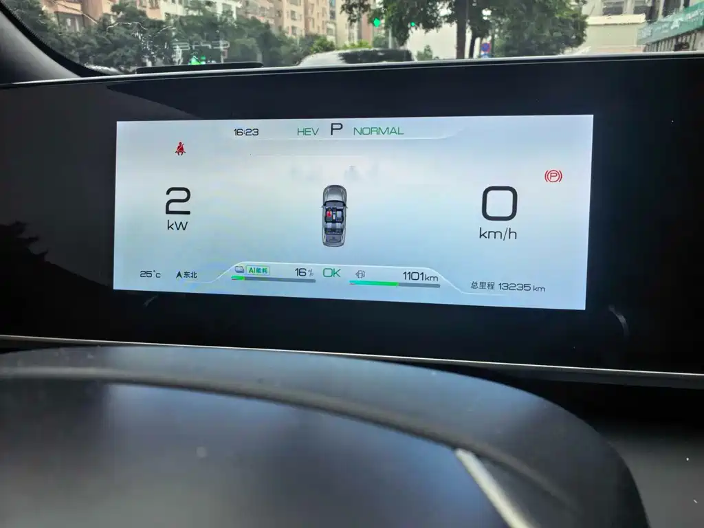 Qin L 2024 DM-i 80KM Surpassing Edition