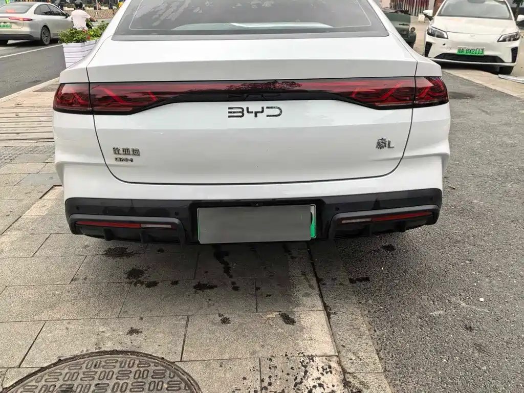 Qin L 2024 DM-i 80KM Surpassing Edition