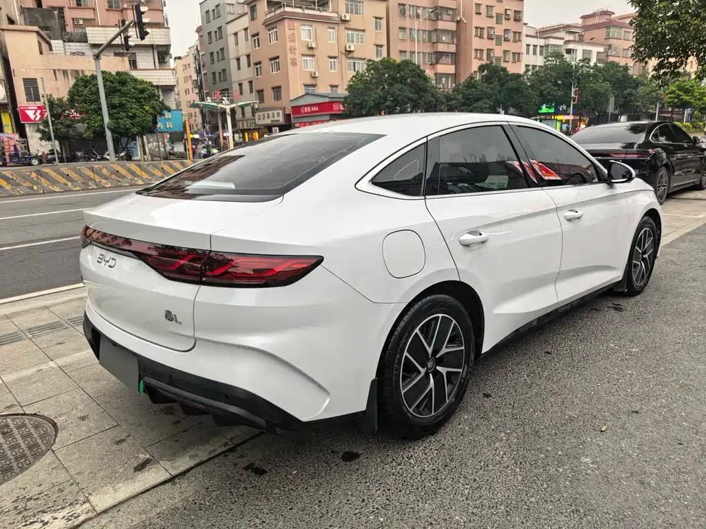 Qin L 2024 DM-i 80KM Surpassing Edition