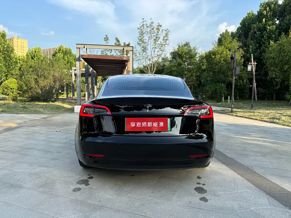 Model 3 Long Range Rear-Wheel Drive Upgrade 2020