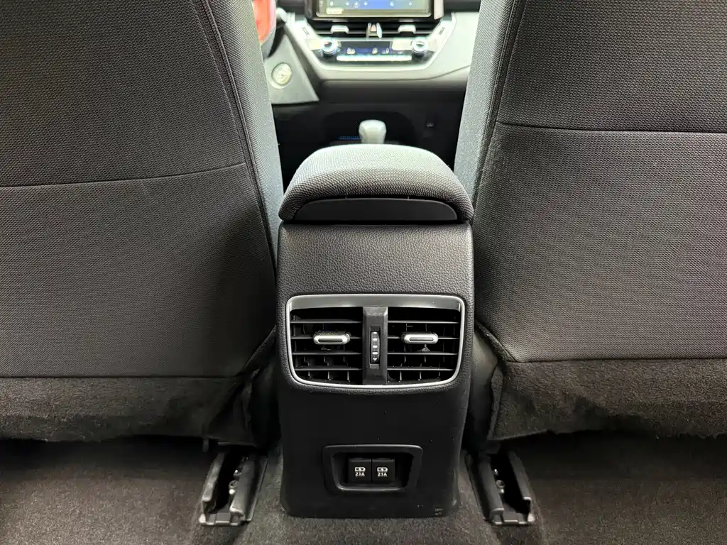 Asia Lion 2021 2.0L Luxury Edition