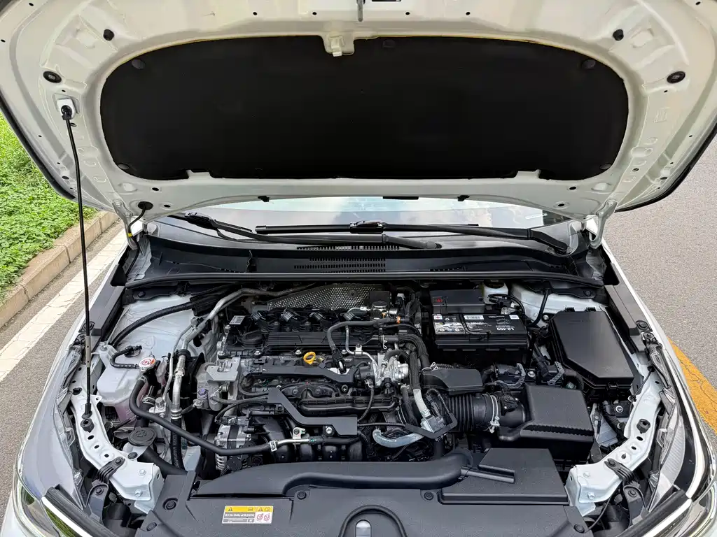 Asia Lion 2021 2.0L Luxury Edition