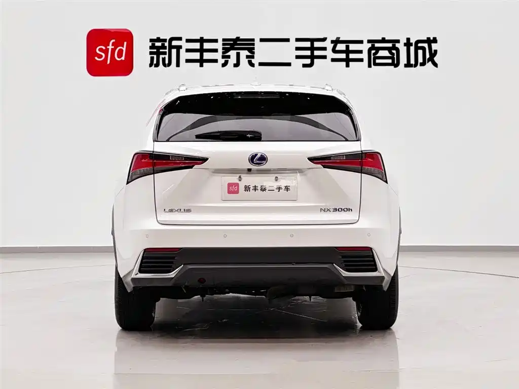 Lexus NX 2020 300h Front-wheel Drive Fengshang Edition National VI