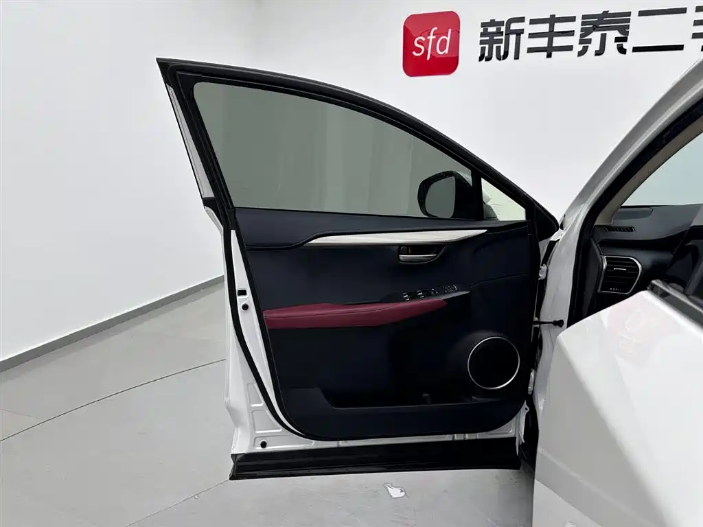 Lexus NX 2020 300h Front-wheel Drive Fengshang Edition National VI