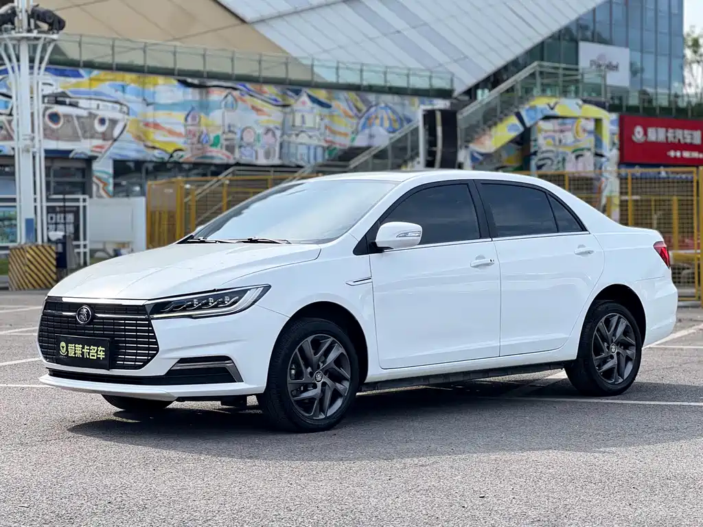 Qin New Energy 2019 Model High Range Edition Luxury Type