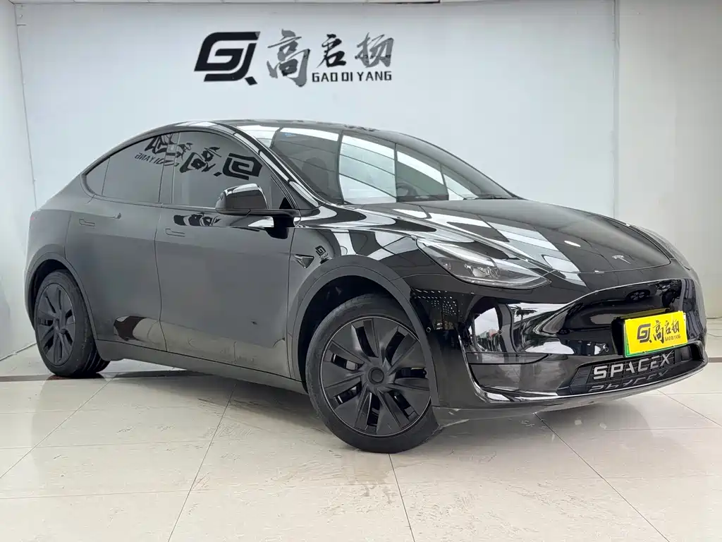 Model Y 2023 Rear-Wheel Drive Edition