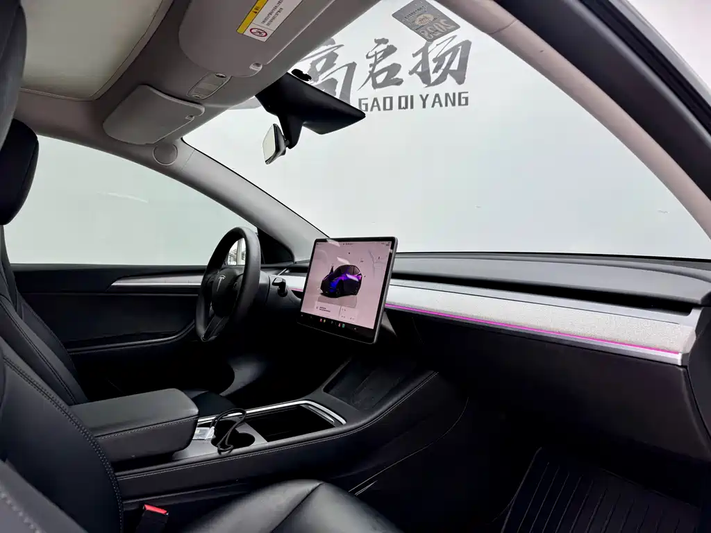 Model Y 2023 Rear-Wheel Drive Edition