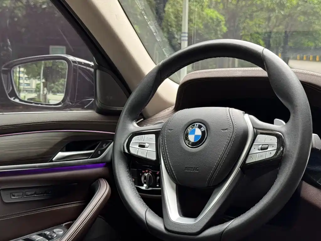 BMW 5 Series 2020 530Li Grandeur Edition Luxury Package