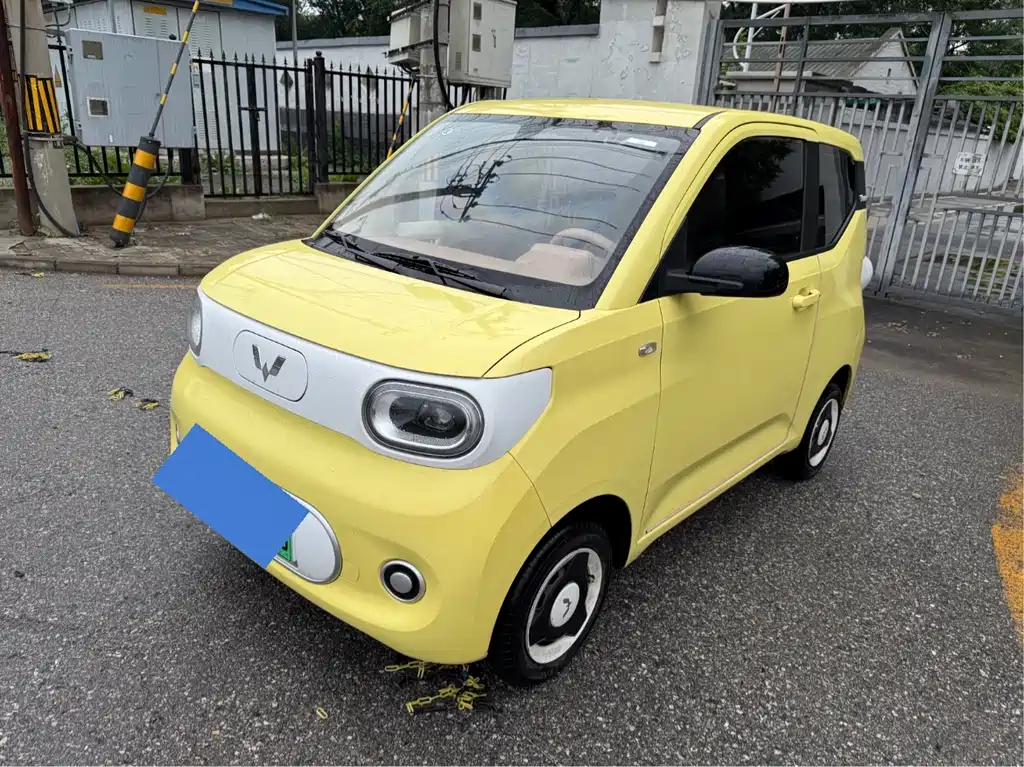 MacDonald MINIEV 2024 Model Third Generation 215km Youth Edition