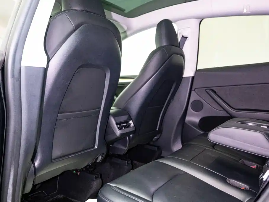 Model Y 2022 Rear-Wheel Drive Edition