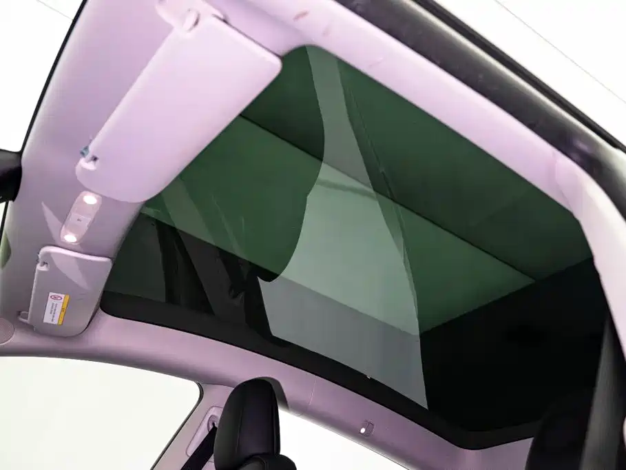 Model Y 2022 Rear-Wheel Drive Edition