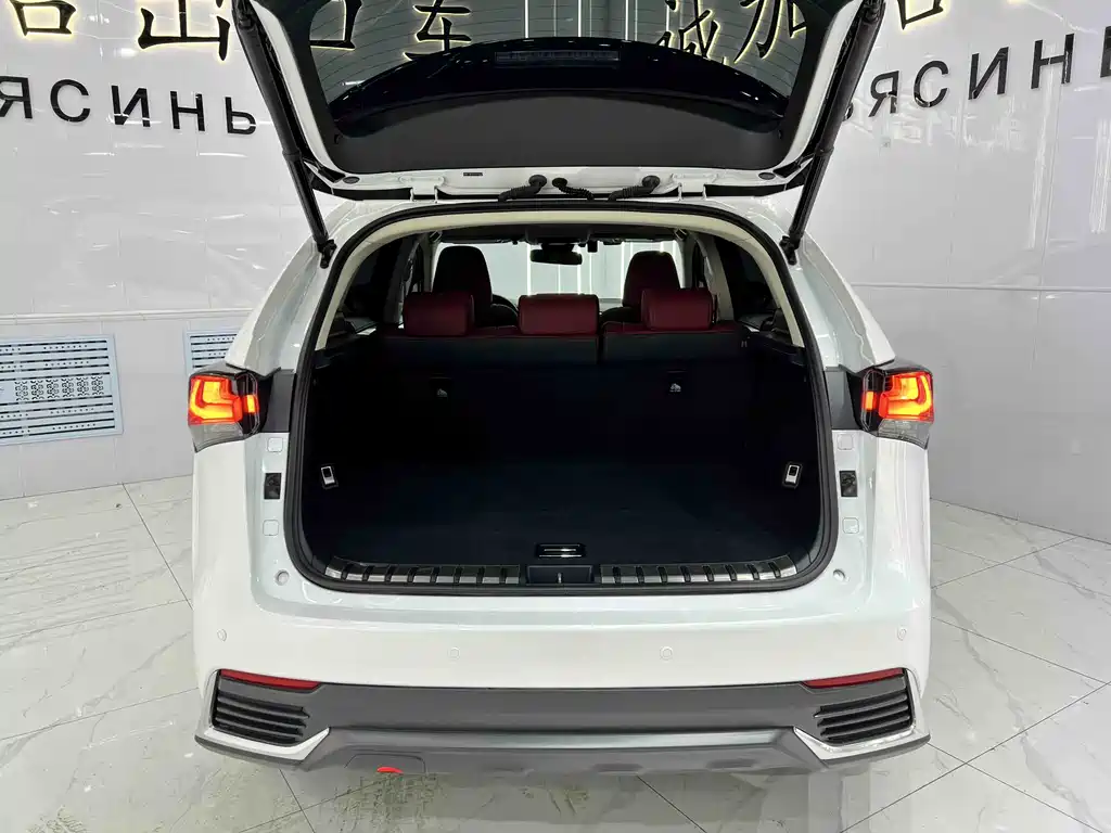 Lexus NX 2020 200 All-Wheel Drive Fengshang Edition National VI