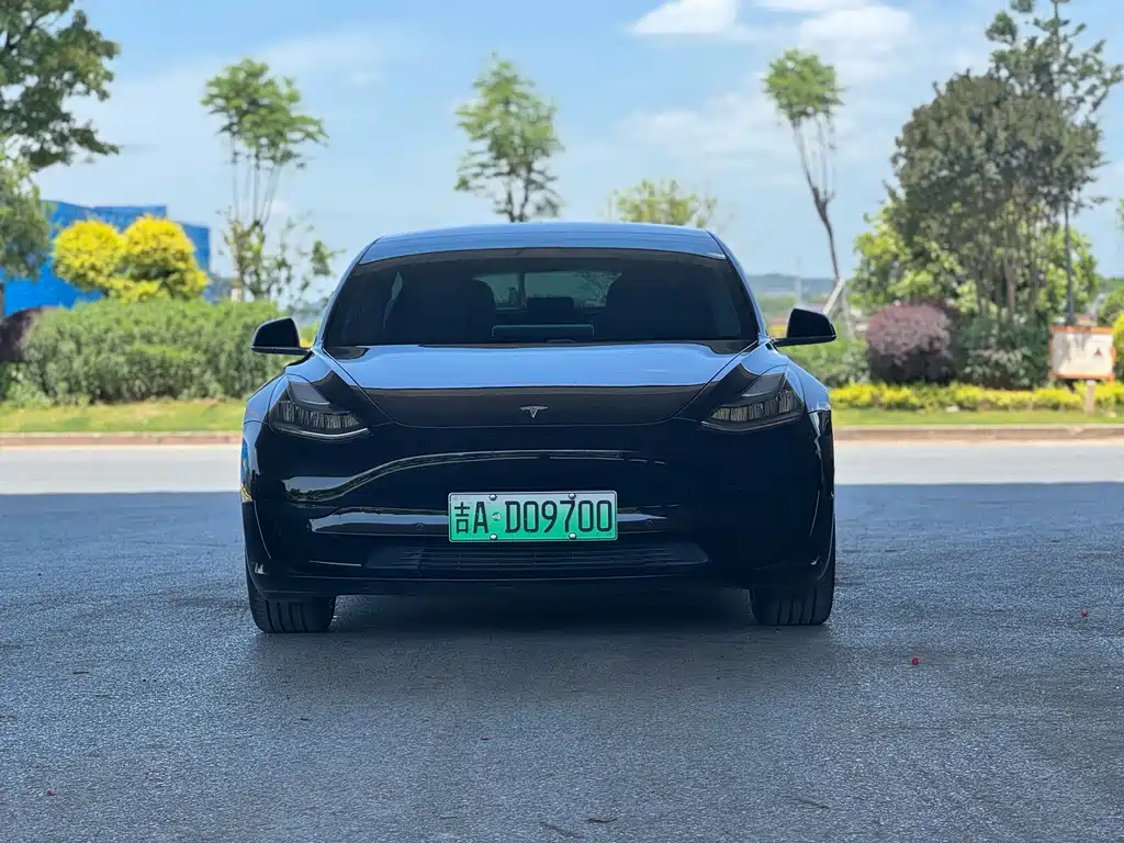 Model 3 Standard Range Rear-Wheel Drive Upgrade Version 2020