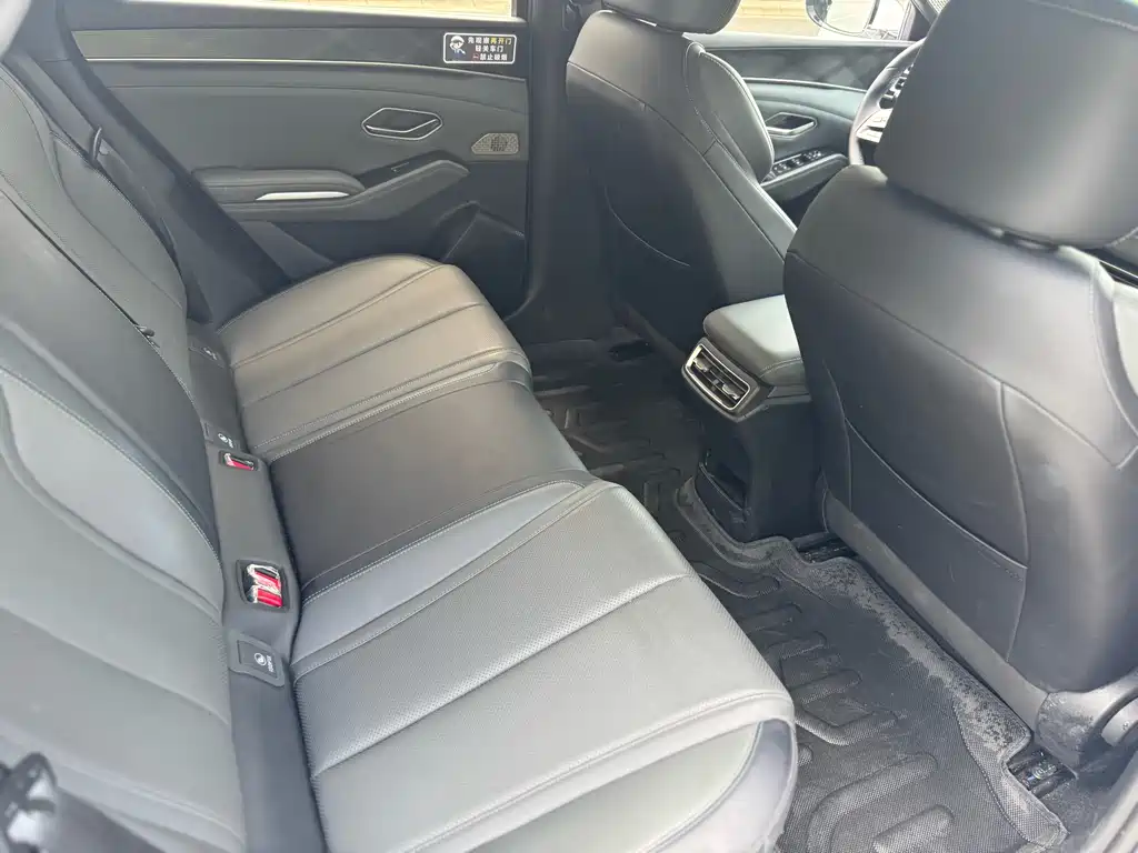 Qin L 2024 DM-i 120KM Leading Edition