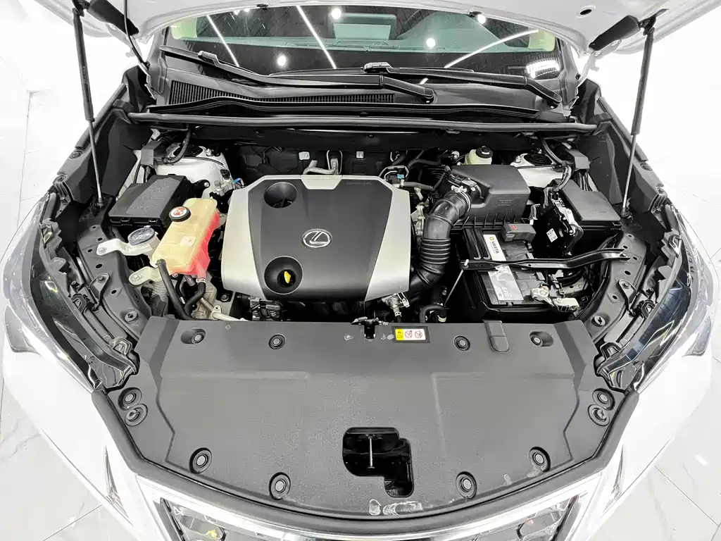 Lexus NX 2020 200 All-Wheel Drive Fengshang Edition National VI