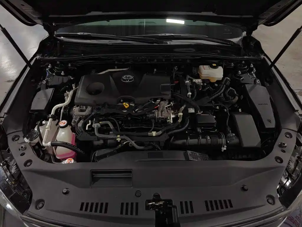 Asia Dragon 2019 model Hybrid 2.5L Luxury Edition National VI