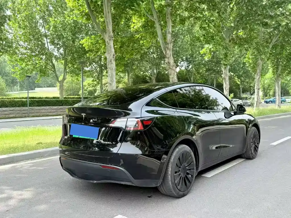 Model Y 2022 Rear-Wheel Drive Edition