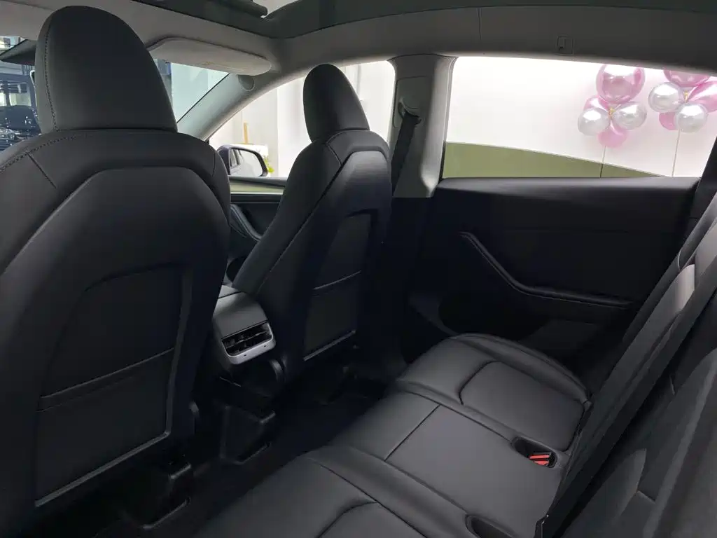 Model Y 2022 Rear-Wheel Drive Edition