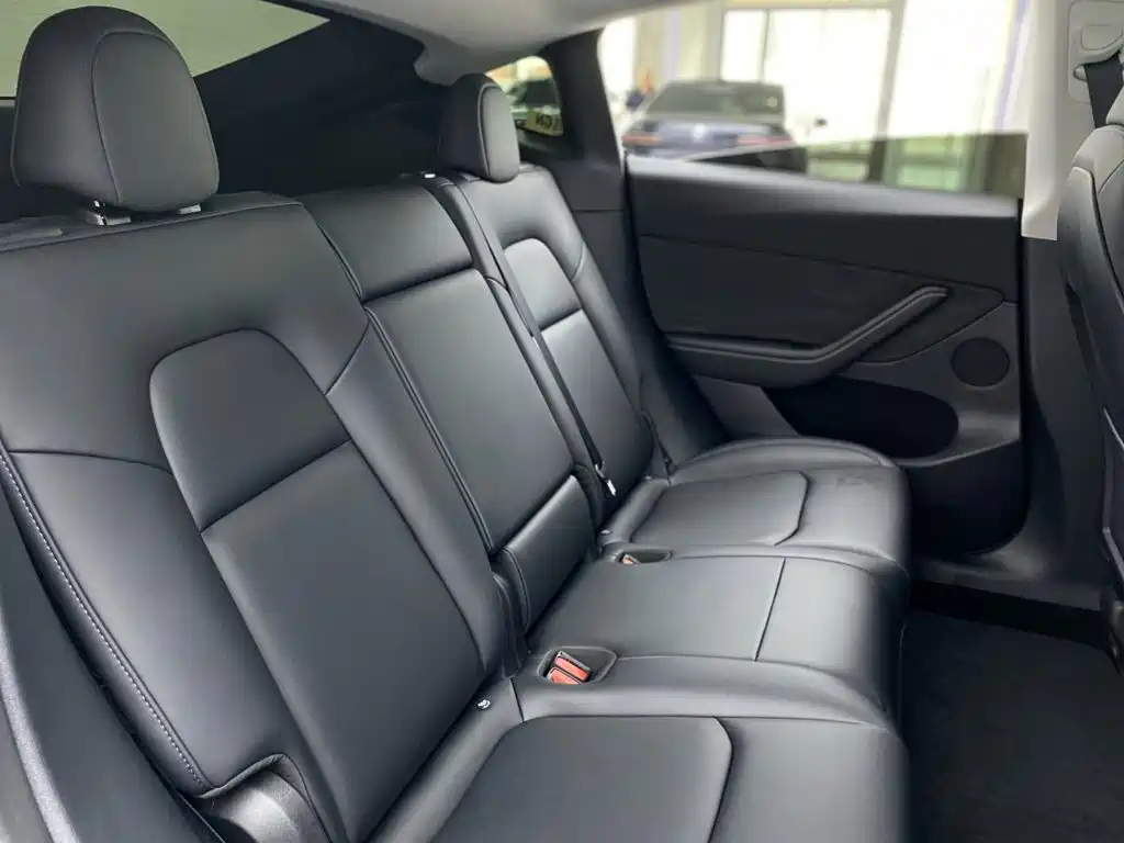 Model Y 2022 Rear-Wheel Drive Edition