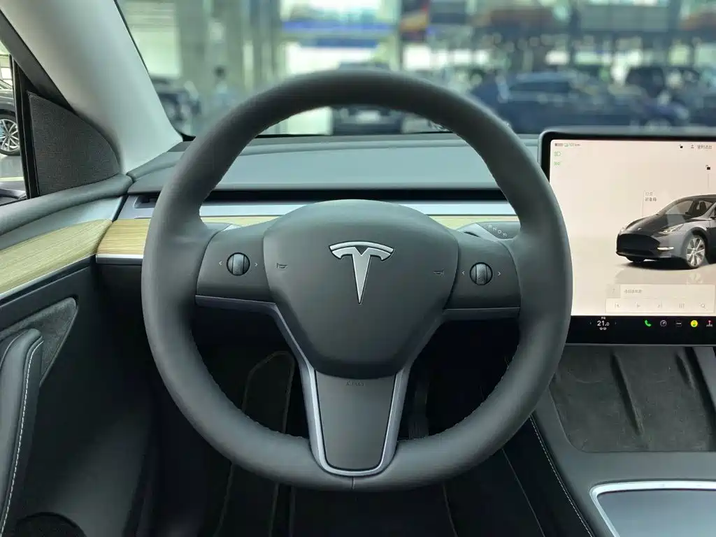Model Y 2022 Rear-Wheel Drive Edition