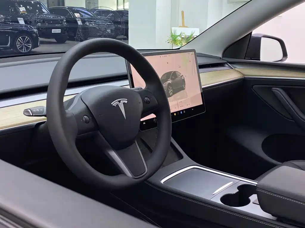 Model Y 2022 Rear-Wheel Drive Edition