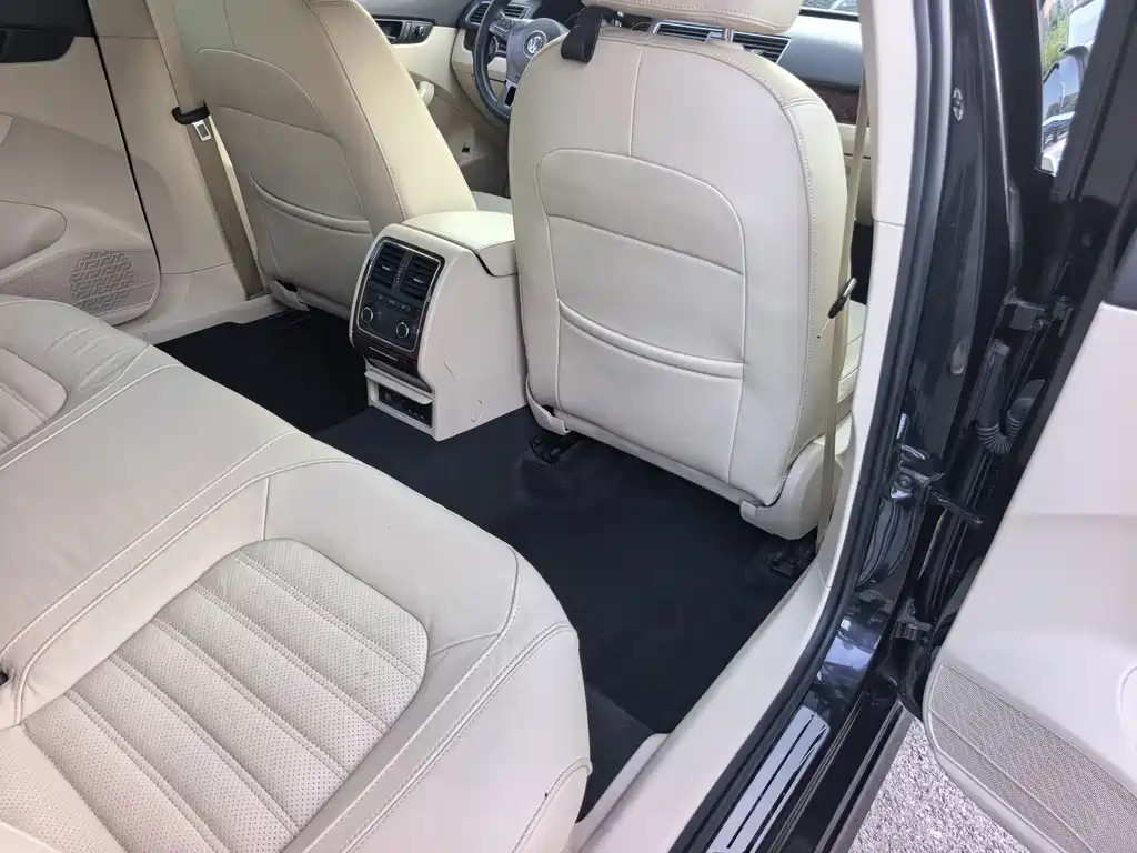 Passat 2013 1.8TSI DSG Yuzhen Edition
