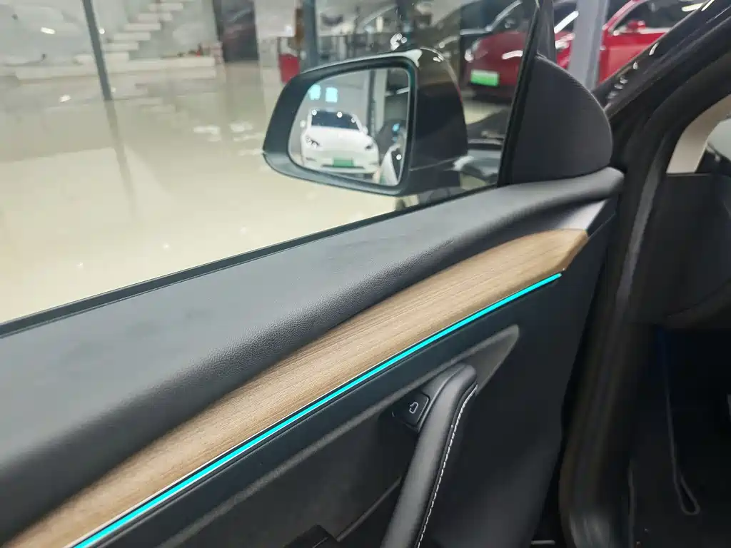 Model Y 2022 Rear-Wheel Drive Edition