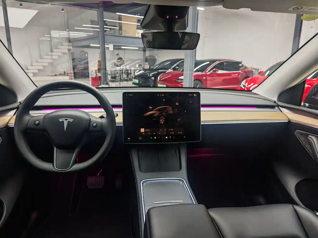 Model Y 2022 Rear-Wheel Drive Edition