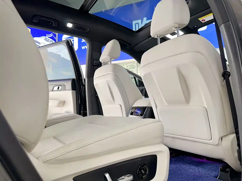 Lemon ONE 2021 Model, Extended Range 6-Seat Edition