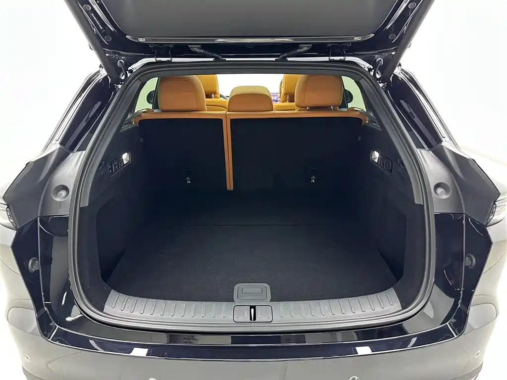 Lemon i6 2025 Model Two-wheel-drive Standard Edition