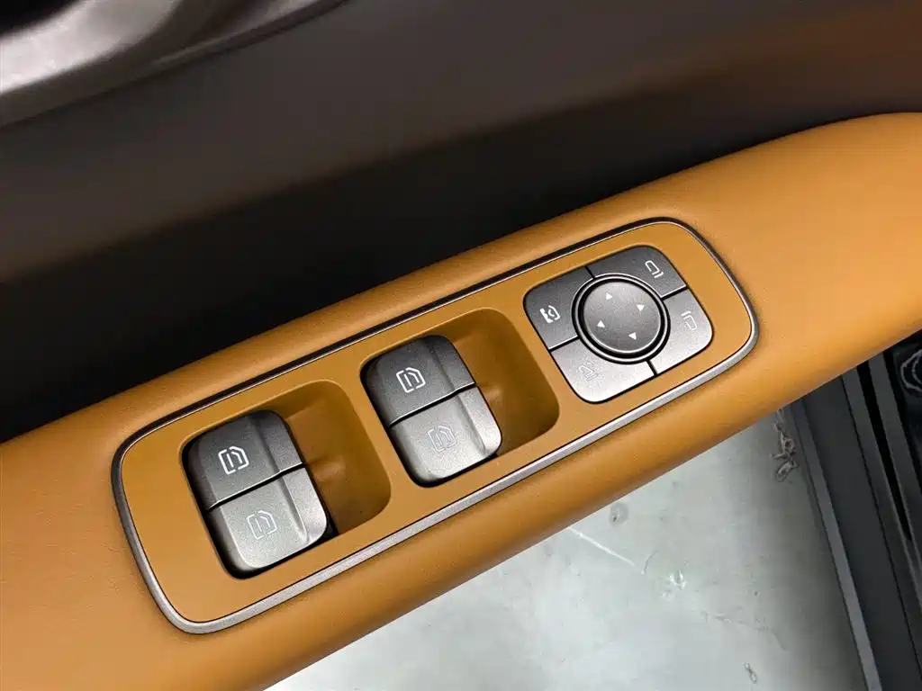 Lemon i6 2025 Model Two-wheel-drive Standard Edition