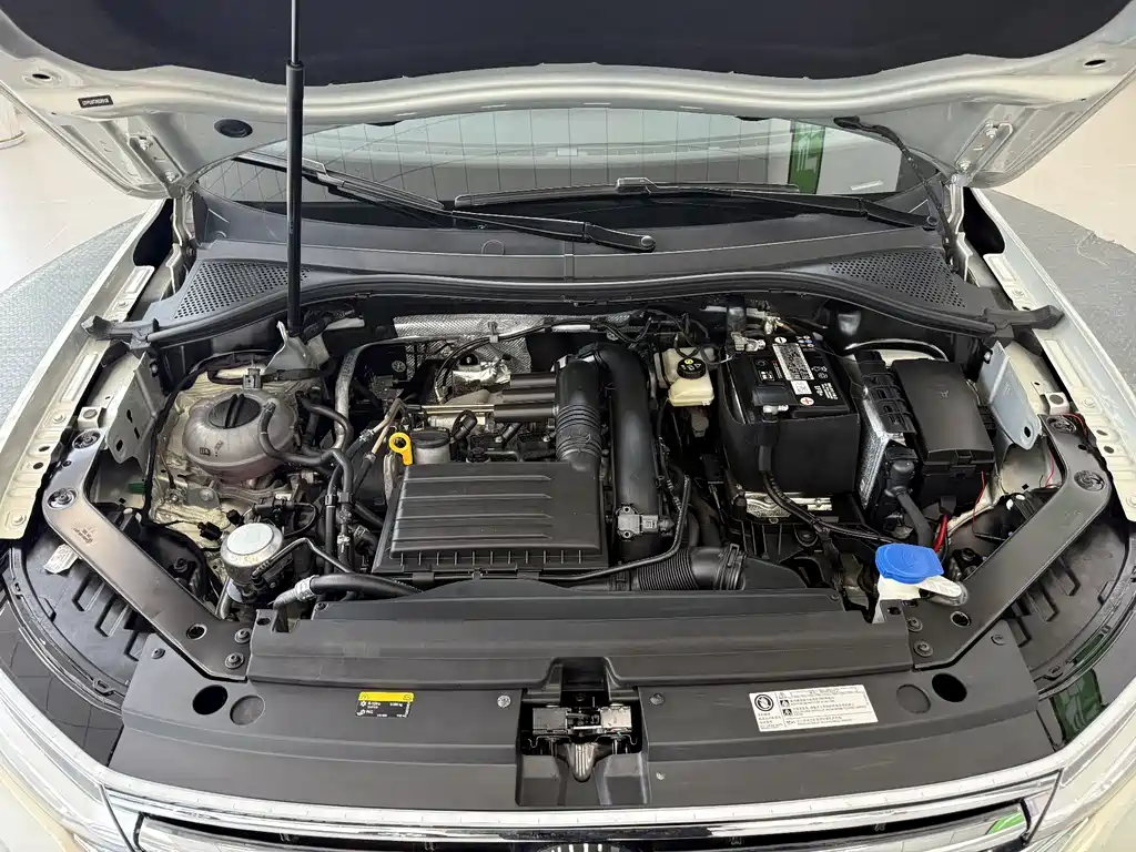 Touguang L 2023 Model 280TSI Automatic Two-Wheel Drive Chaochuang Limited Edition