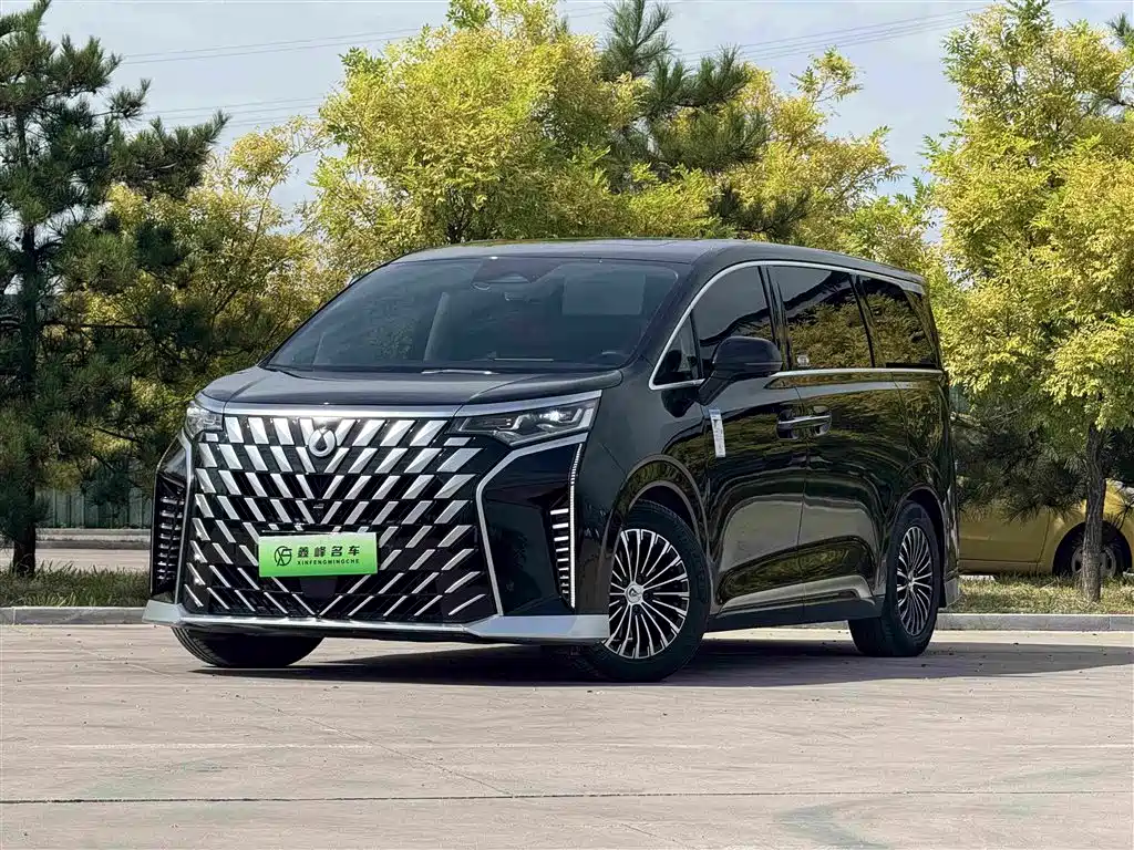 Tengri D9 2024 Model DM-i 1050 Premium Edition