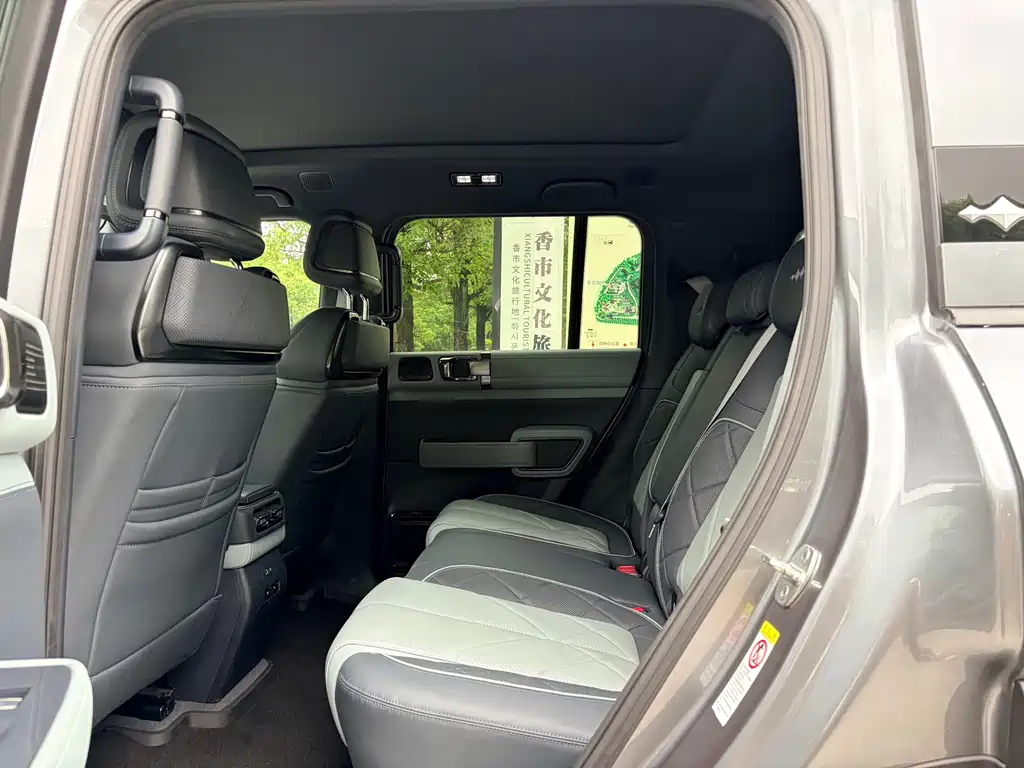 Panda 5 2023 Edition Leading Edition